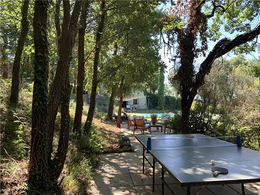 Immagine 25 di Casa vacanze in affitto  in Loc. Castelvecchio a Massa Martana