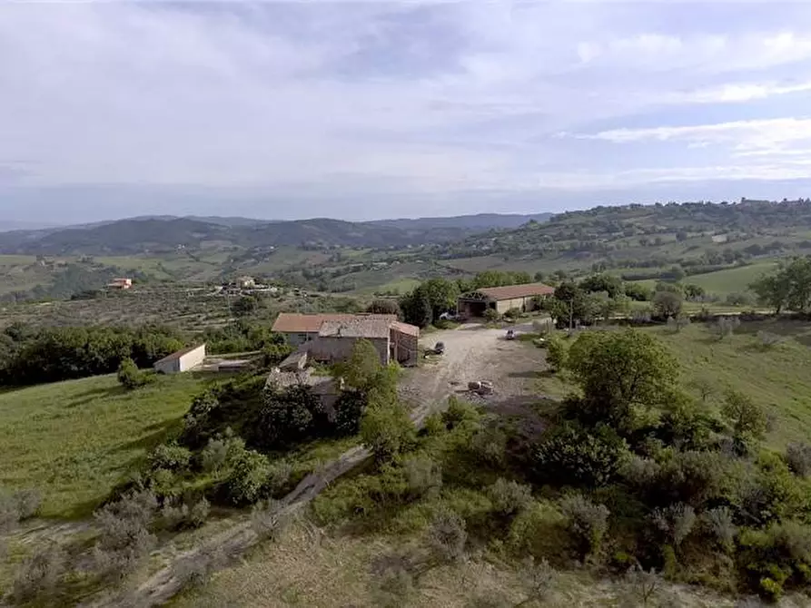 Immagine 6 di Azienda agricola in vendita  in Voc. Montenero a Gualdo Cattaneo
