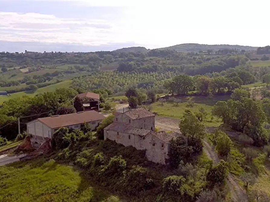 Immagine 7 di Azienda agricola in vendita  in Voc. Montenero a Gualdo Cattaneo
