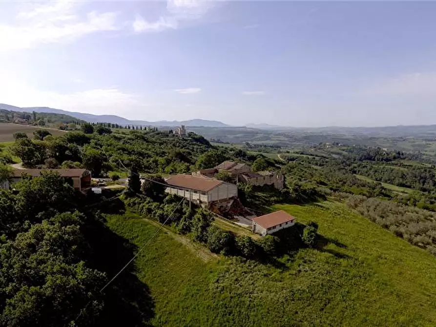 Immagine 8 di Azienda agricola in vendita  in Voc. Montenero a Gualdo Cattaneo