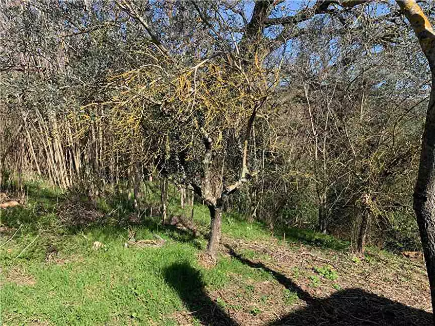 Immagine 14 di Porzione di casa in vendita  in Voc. Cacciano a Todi