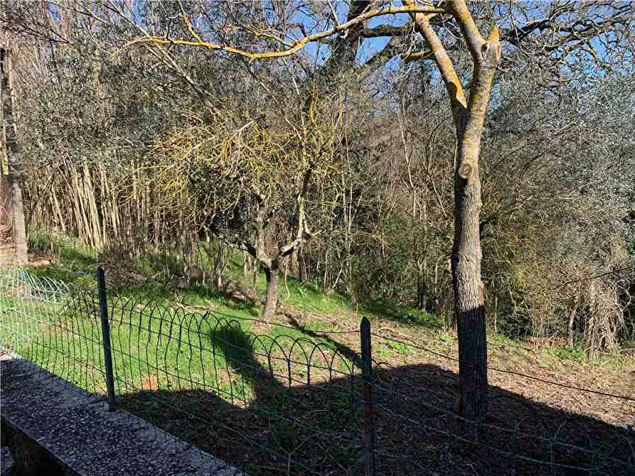 Immagine 15 di Porzione di casa in vendita  in Voc. Cacciano a Todi