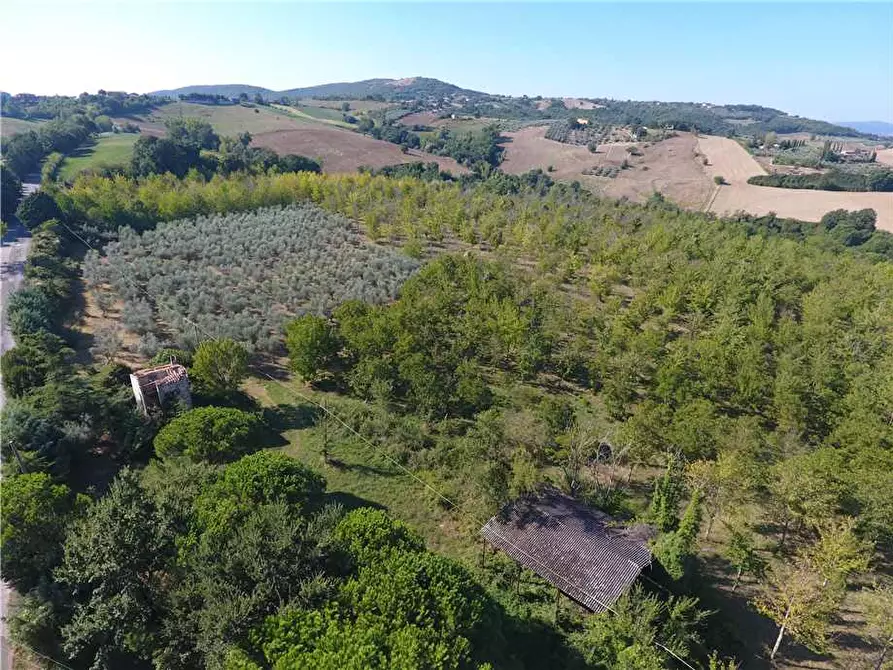 Immagine 10 di Rustico / casale in vendita  in Via Via della Collina a Gualdo Cattaneo