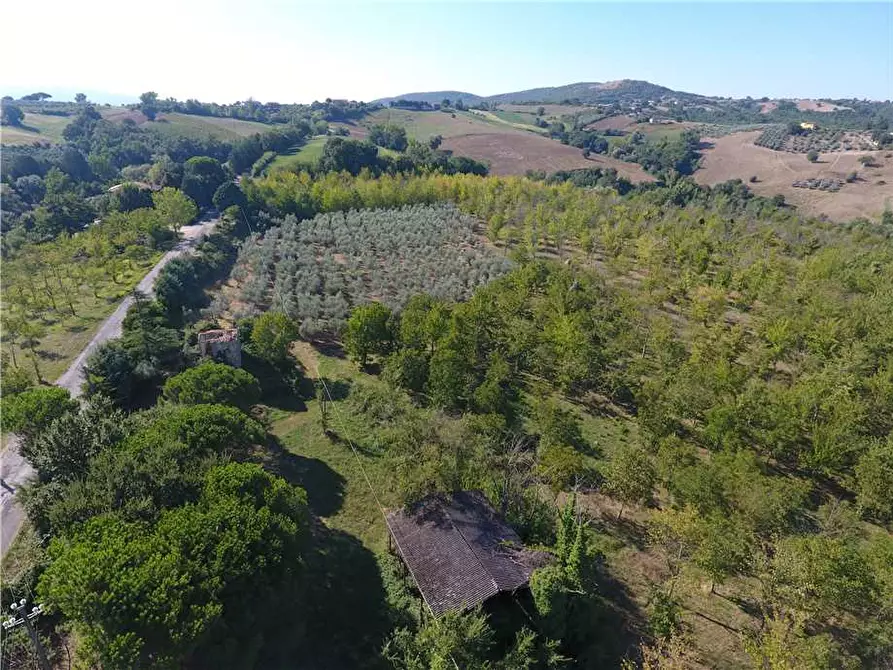 Immagine 11 di Rustico / casale in vendita  in Via Via della Collina a Gualdo Cattaneo