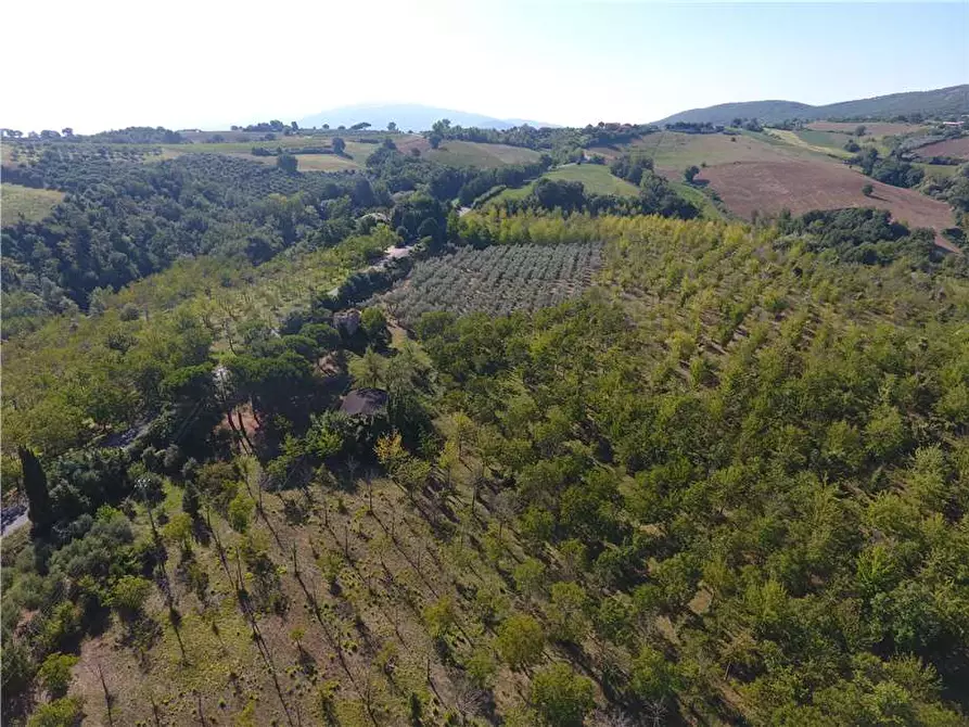 Immagine 13 di Rustico / casale in vendita  in Via Via della Collina a Gualdo Cattaneo