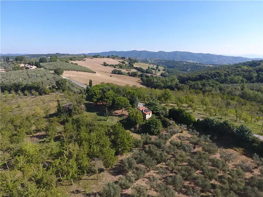 Immagine 14 di Rustico / casale in vendita  in Via Via della Collina a Gualdo Cattaneo