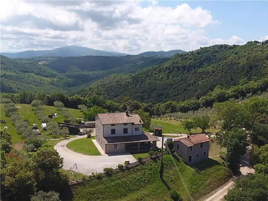 Immagine 36 di Villa in vendita  in Fraz. GAGLIETOLE a Collazzone