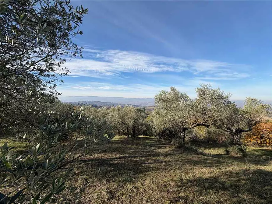 Immagine 37 di Villa in vendita  in Via Colle Fabbro, 17 a Collazzone