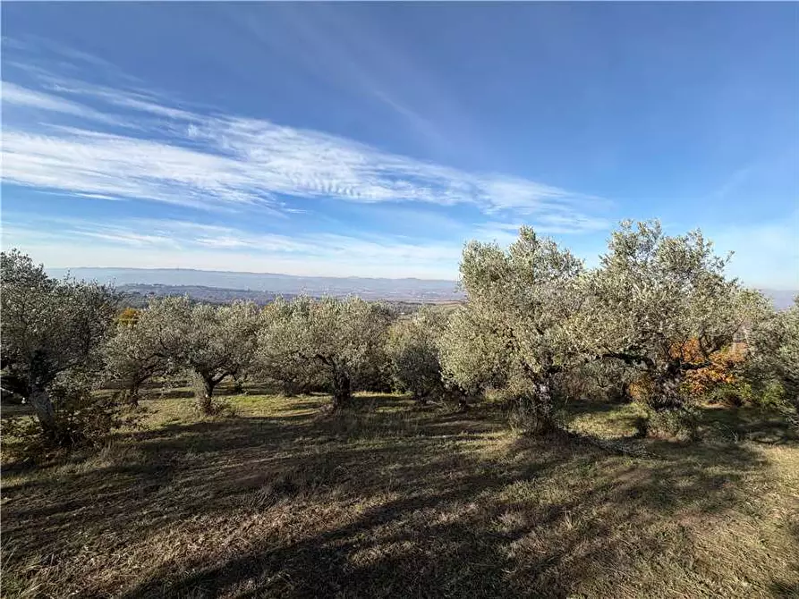 Immagine 38 di Villa in vendita  in Via Colle Fabbro, 17 a Collazzone