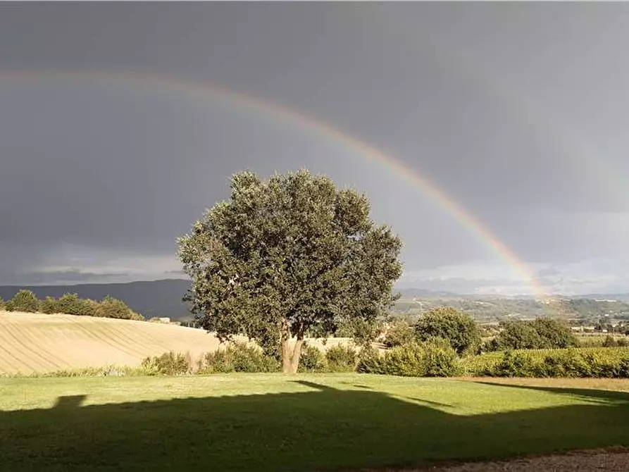Immagine 40 di Rustico / casale in vendita  in Voc. Selva, 11 a Marsciano