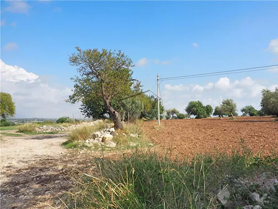 Immagine 7 di Terreno in vendita  a Scicli