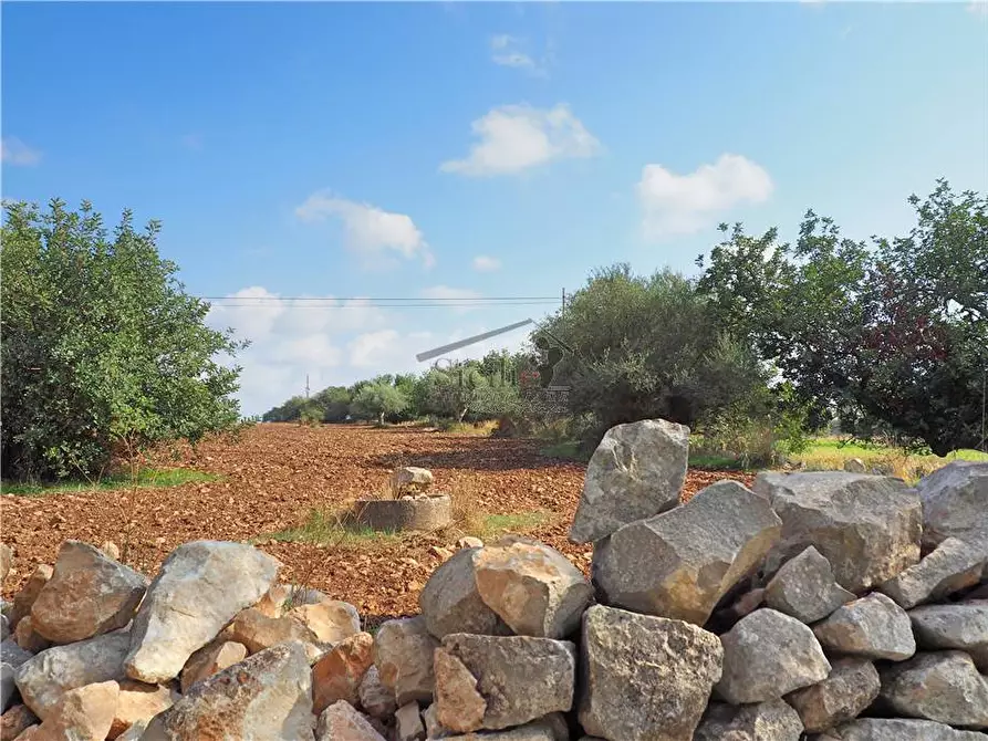 Immagine 9 di Terreno in vendita  a Scicli