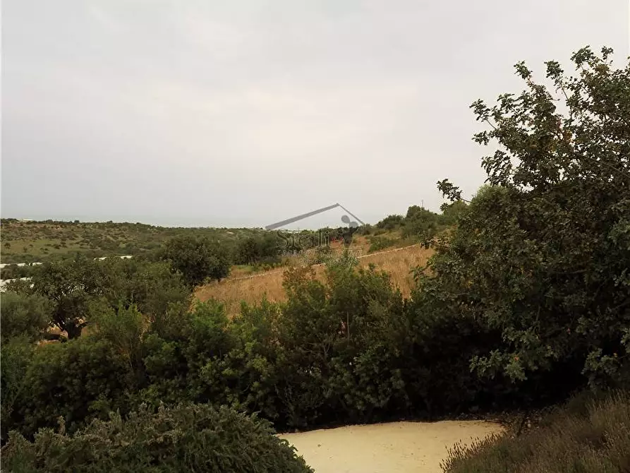 Immagine 16 di Villa in vendita  a Scicli