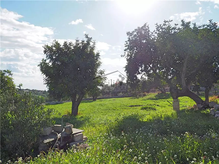 Immagine 16 di Rustico / casale in vendita  a Scicli