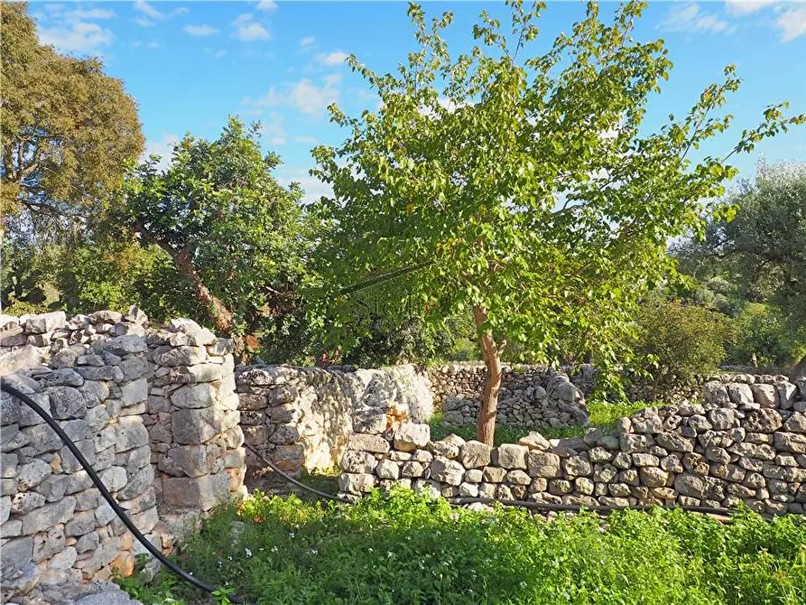 Immagine 19 di Rustico / casale in vendita  a Scicli