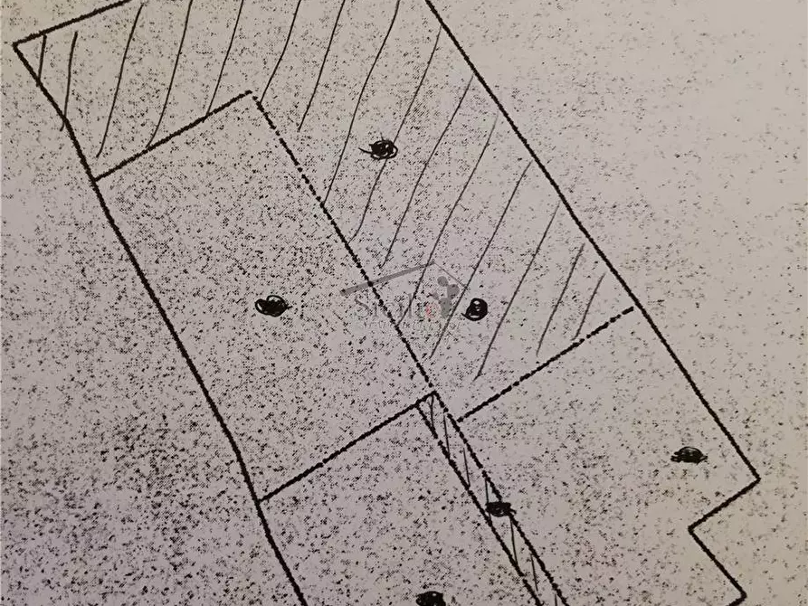 Immagine 7 di Terreno in vendita  a Ragusa