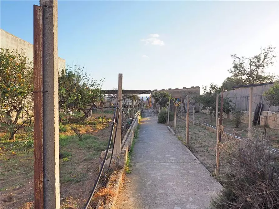 Immagine 19 di Villa in vendita  a Scicli