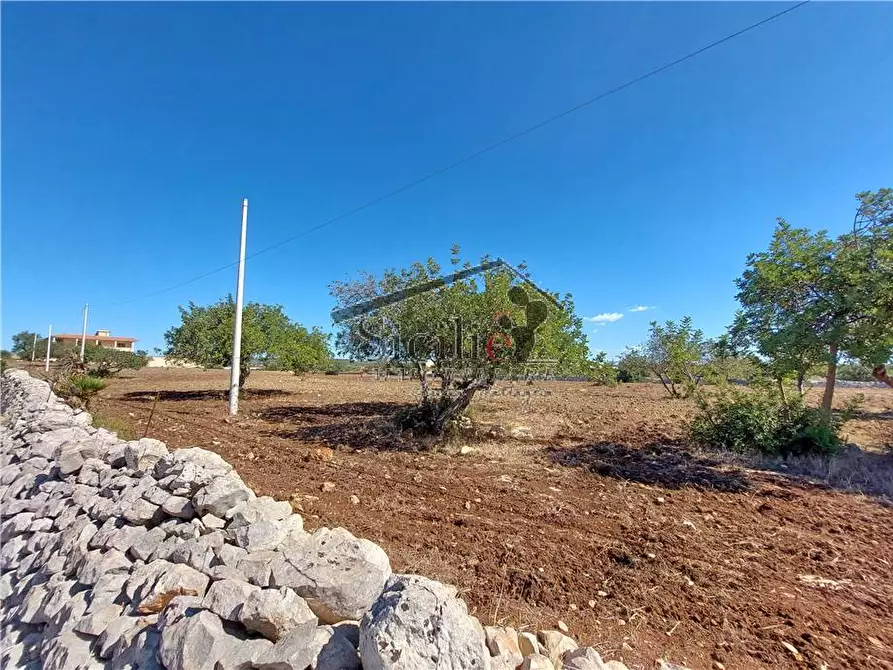 Immagine 18 di Villa in vendita  a Modica