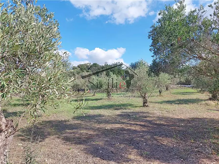 Immagine 16 di Rustico / casale in vendita  a Ragusa