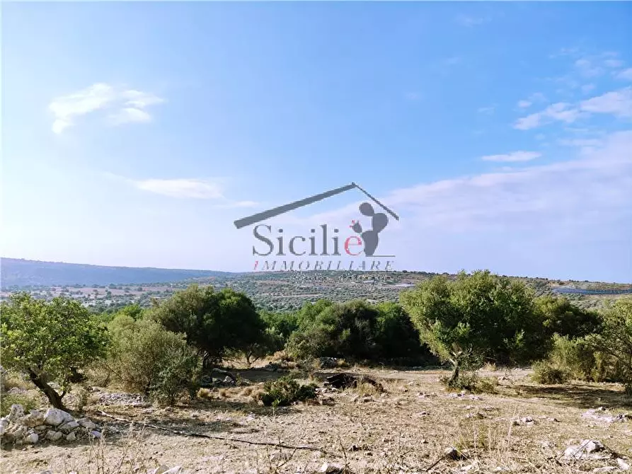 Immagine 20 di Villa in vendita  a Scicli