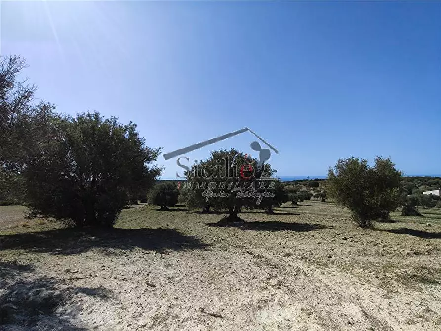 Immagine 16 di Terreno in vendita  a Scicli