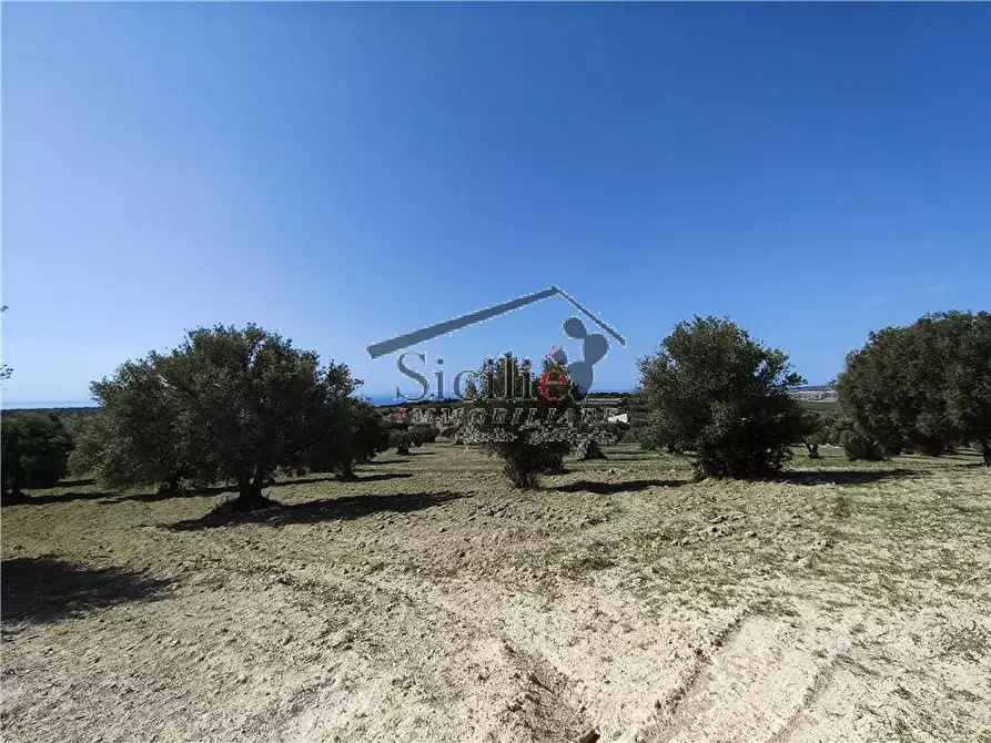 Immagine 17 di Terreno in vendita  a Scicli