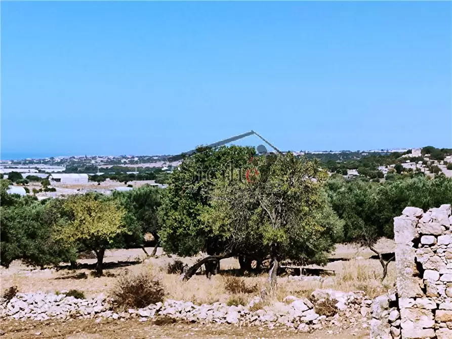 Immagine 15 di Villa in vendita  a Scicli