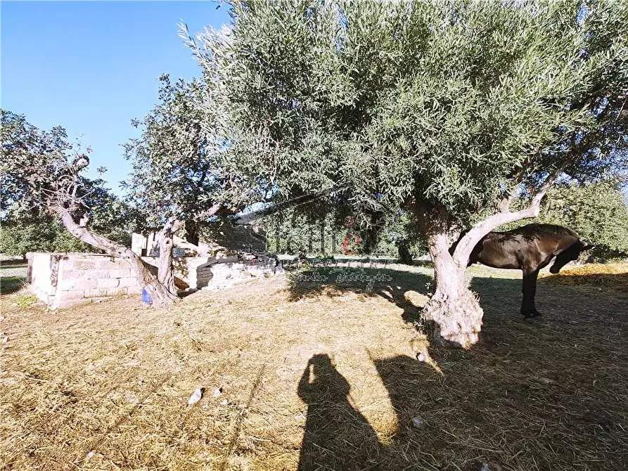 Immagine 17 di Villa in vendita  a Scicli