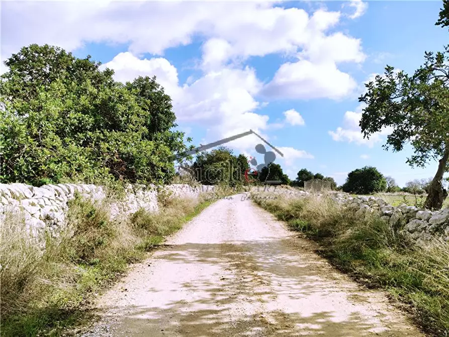 Immagine 17 di Villa in vendita  a Scicli