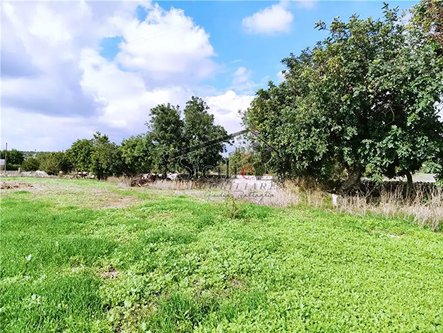 Immagine 18 di Villa in vendita  a Scicli