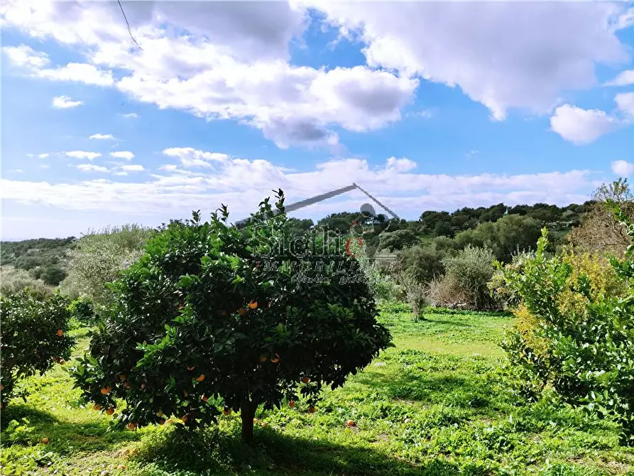 Immagine 19 di Villa in vendita  a Modica