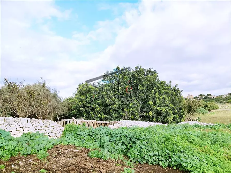 Immagine 16 di Villa in vendita  a Scicli