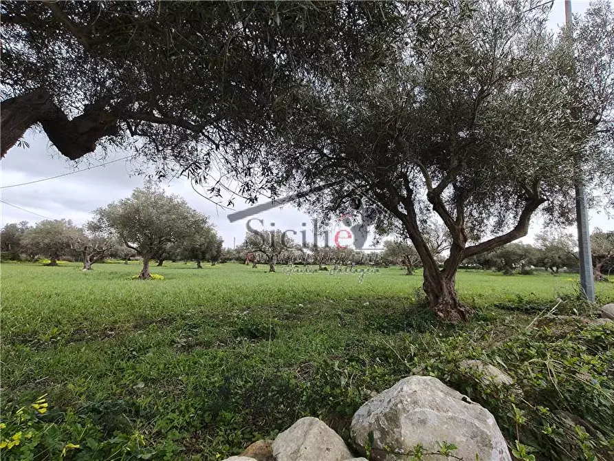 Immagine 6 di Terreno in vendita  a Scicli