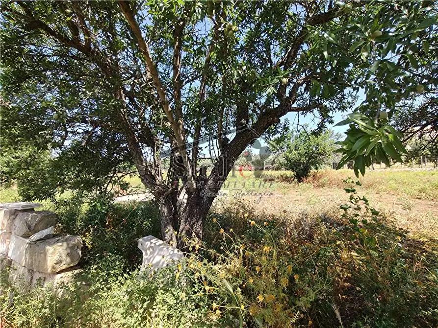 Immagine 16 di Terreno in vendita  a Scicli