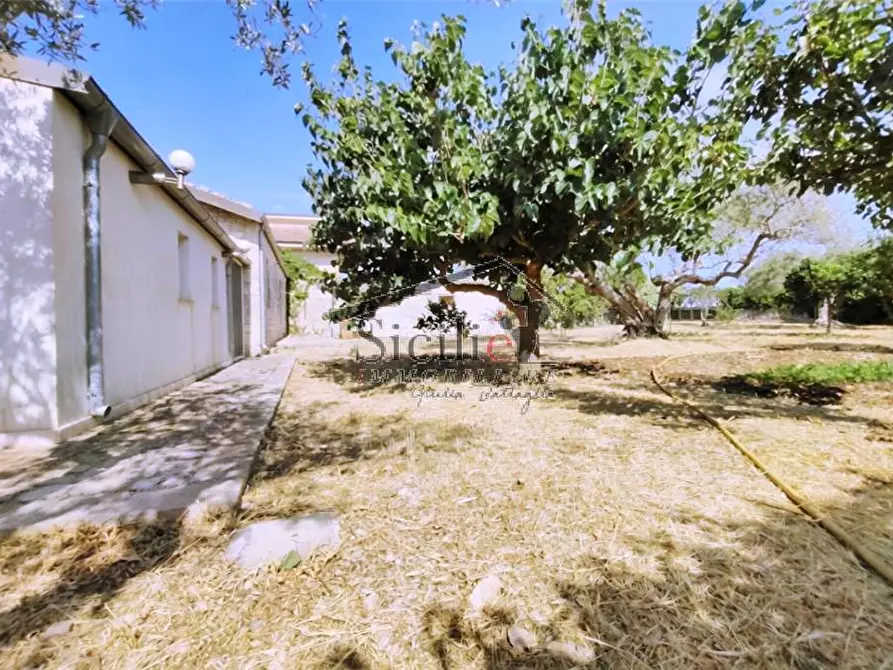 Immagine 18 di Villa in vendita  a Scicli