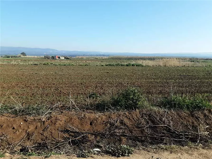 Immagine 6 di Terreno in vendita  a Sannicandro Garganico