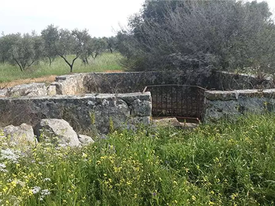 Immagine 6 di Terreno in vendita  a Sannicandro Garganico