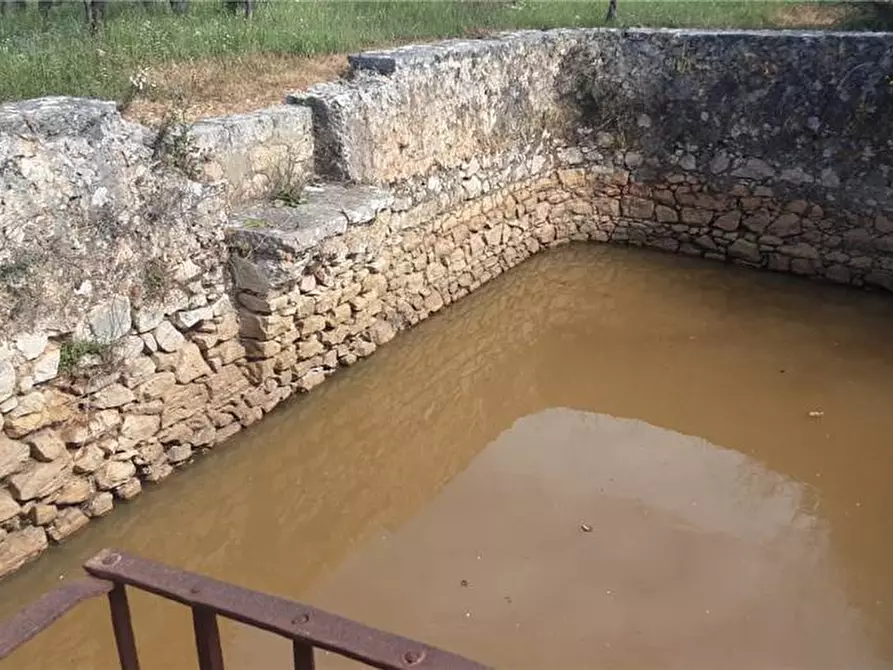 Immagine 7 di Terreno in vendita  a Sannicandro Garganico