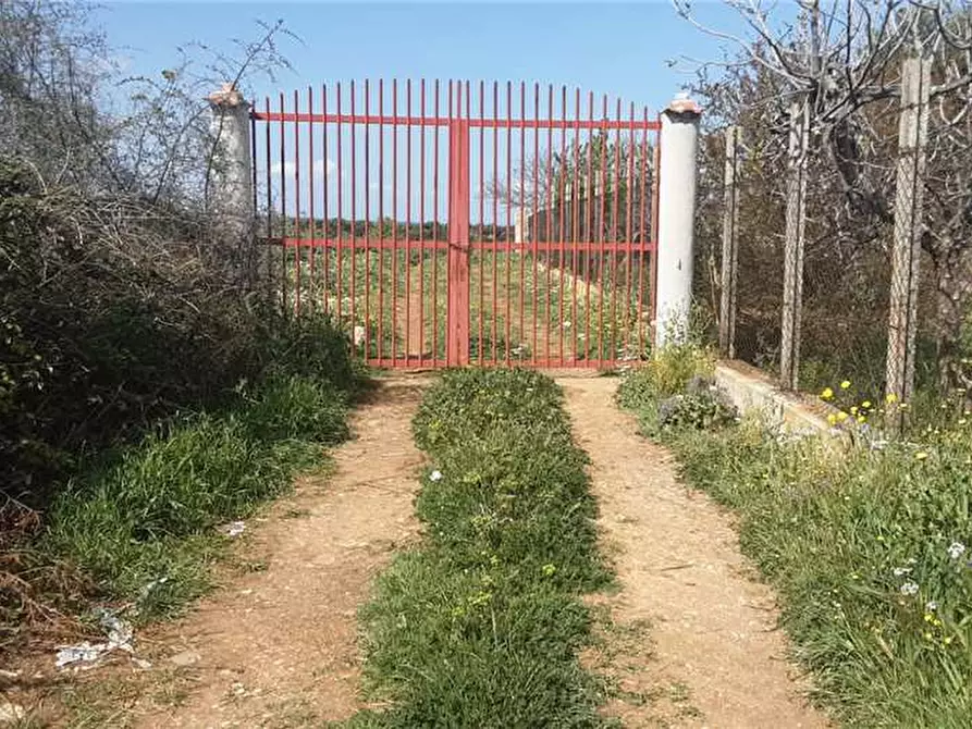 Immagine 8 di Terreno in vendita  a Sannicandro Garganico