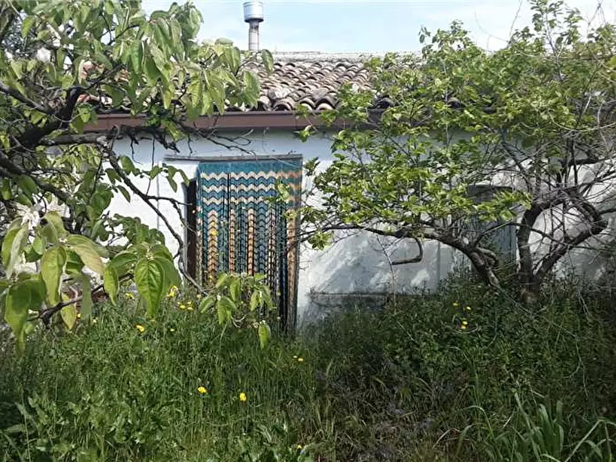 Immagine 9 di Terreno in vendita  a Sannicandro Garganico