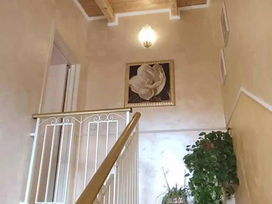 Immagine 7 di Stabile in vendita  a Sannicandro Garganico