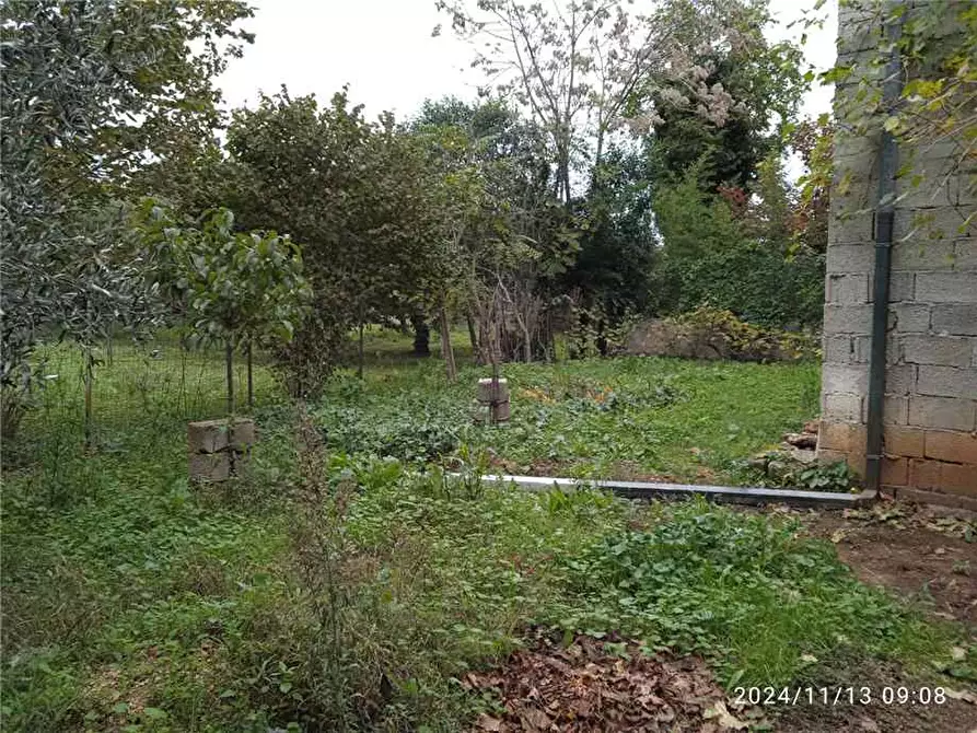 Immagine 10 di Casa bifamiliare in vendita  a Sannicandro Garganico