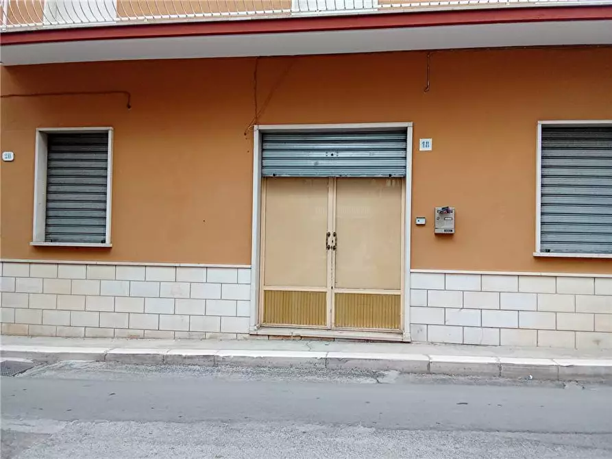 Immagine 8 di Stabile in vendita  a Sannicandro Garganico