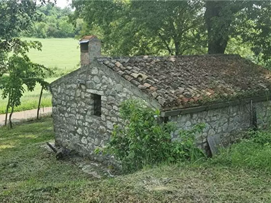 Immagine 7 di Terreno in vendita  a Sannicandro Garganico