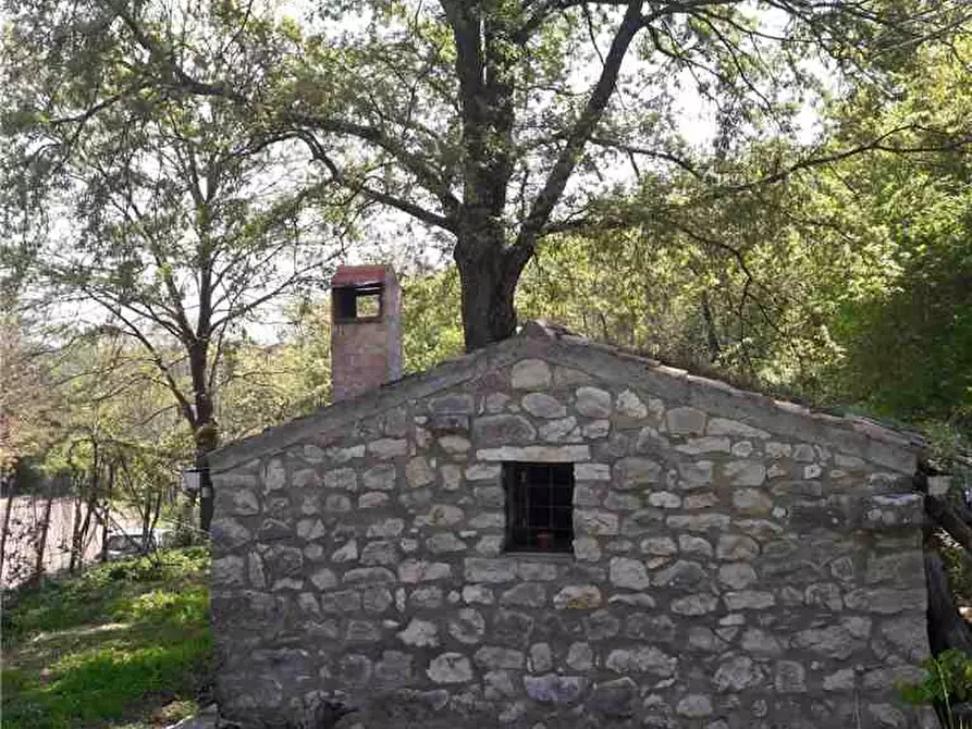 Immagine 8 di Terreno in vendita  a Sannicandro Garganico