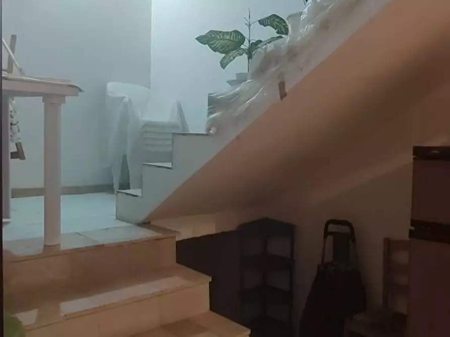 Immagine 8 di Stabile in vendita  a Sannicandro Garganico
