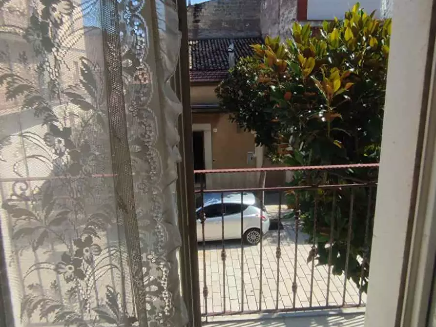 Immagine 10 di Stabile in vendita  a Sannicandro Garganico