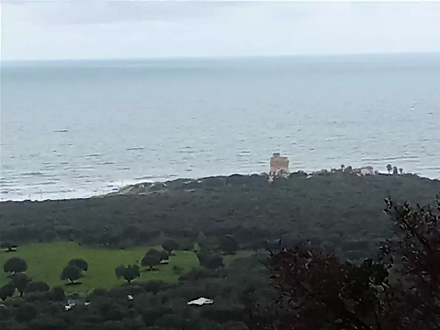 Immagine 6 di Terreno in vendita  a Sannicandro Garganico