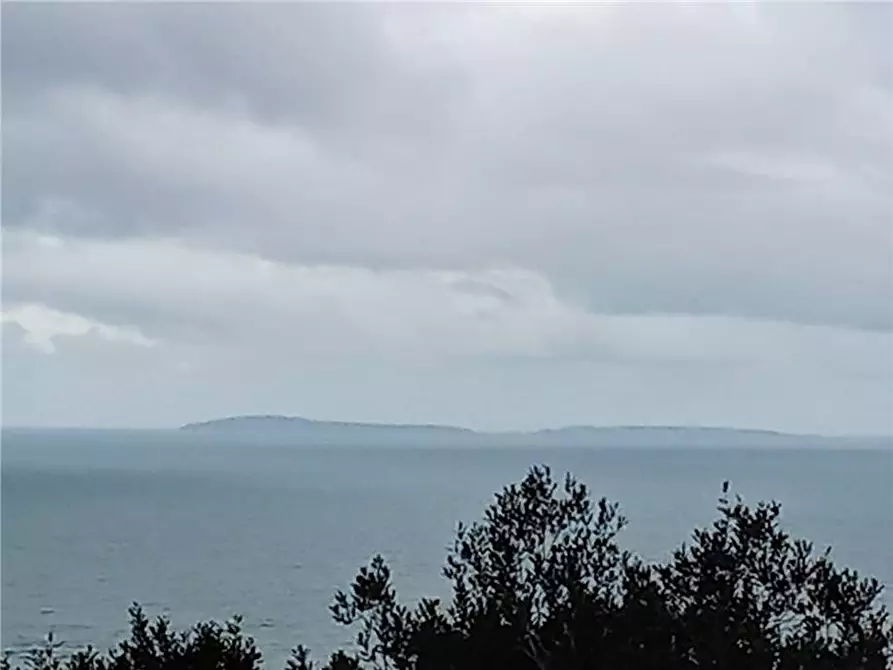 Immagine 8 di Terreno in vendita  a Sannicandro Garganico