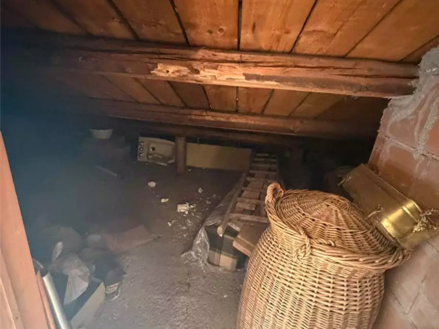 Immagine 7 di Stabile in vendita  a Sannicandro Garganico
